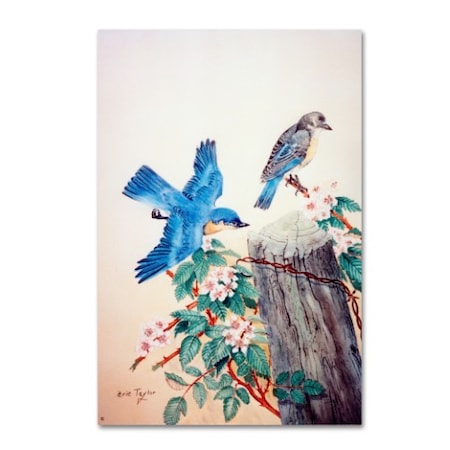 Arie Reinhardt Taylor 'Bluebirds' Canvas Art,16x24